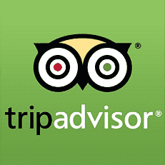Trip Advisor Icon