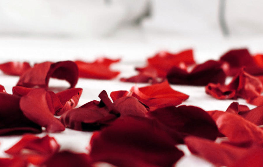 Rose petals