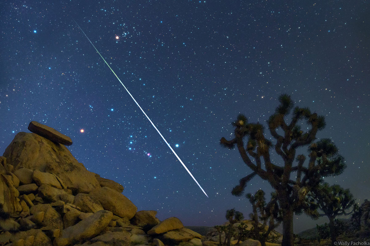 Perseid meteor in the sky from Joshua Tree Park